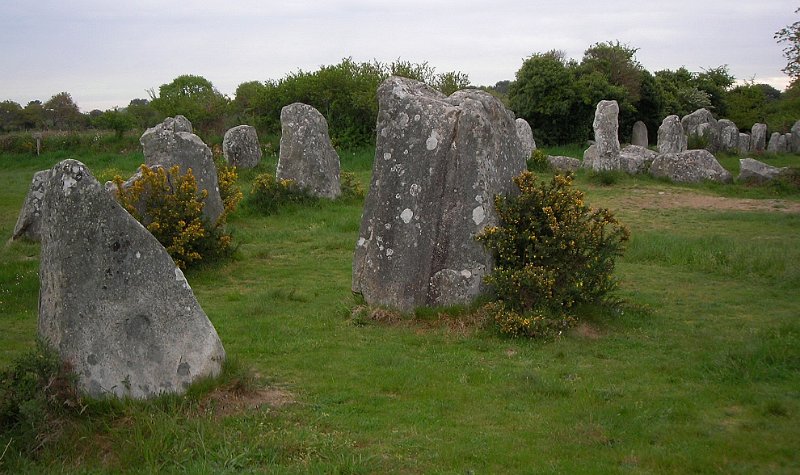 2011-04-14 03 Alignements de Kerzerho.JPG